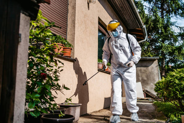 Professional Pest Control in Tahoka, TX