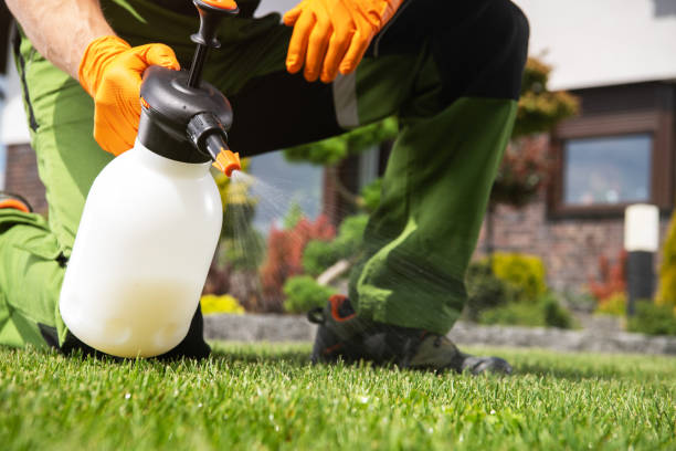 Flea Control Services in Tahoka, TX