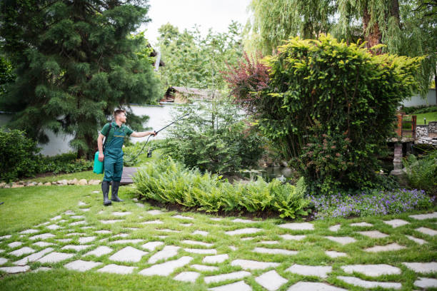 Best Ant Control Services  in Tahoka, TX