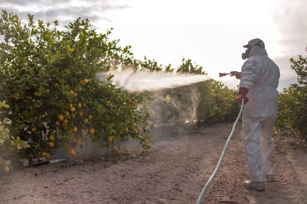 Best Cockroach Control Services  in Tahoka, TX