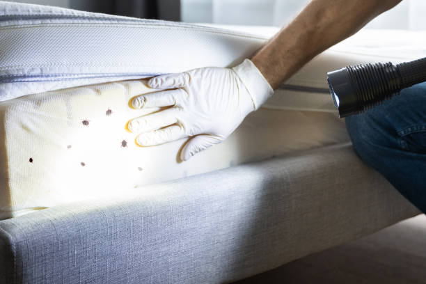 Best Commercial Pest Control Services  in Tahoka, TX